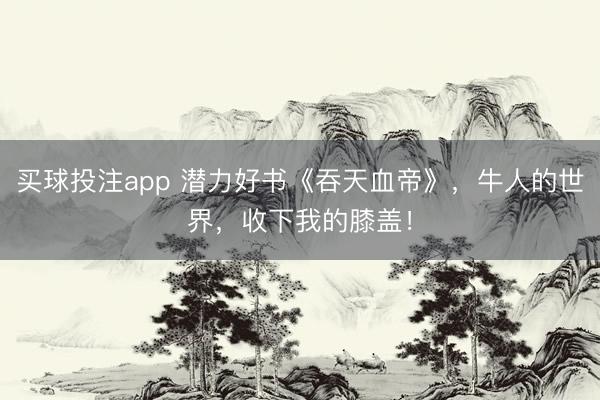 买球投注app 潜力好书《吞天血帝》，牛人的世界，收下我的膝盖！