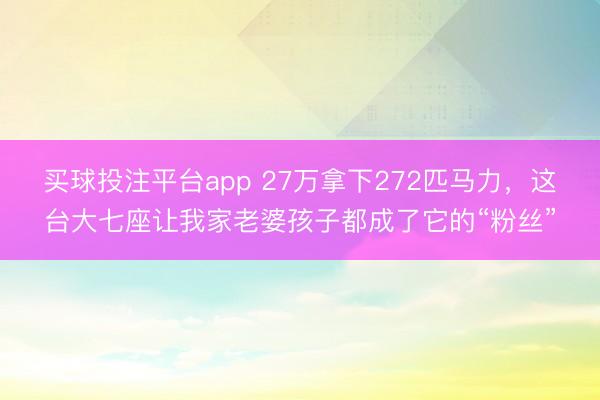 买球投注平台app 27万拿下272匹马力，这台大七座让我家老婆孩子都成了它的“粉丝”