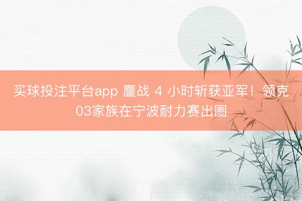 买球投注平台app 鏖战 4 小时斩获亚军！领克03家族在宁波耐力赛出圈