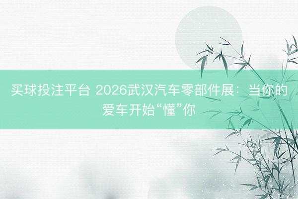 买球投注平台 2026武汉汽车零部件展：当你的爱车开始“懂”你