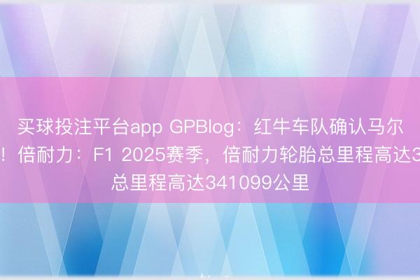 买球投注平台app GPBlog：红牛车队确认马尔科接班人选！倍耐力：F1 2025赛季，倍耐力轮胎总里程高达341099公里