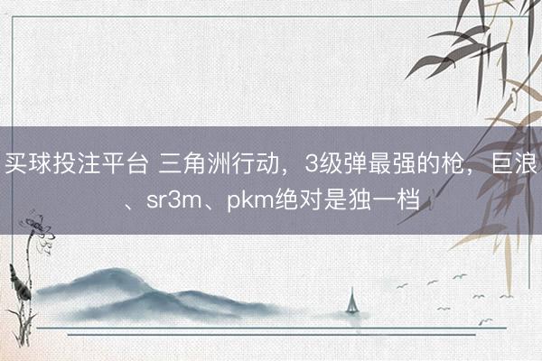 买球投注平台 三角洲行动，3级弹最强的枪，巨浪、sr3m、pkm绝对是独一档