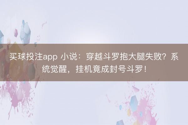 买球投注app 小说：穿越斗罗抱大腿失败？系统觉醒，挂机竟成封号斗罗！