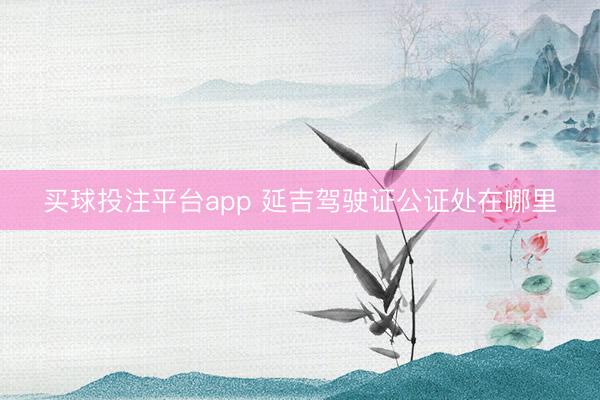 买球投注平台app 延吉驾驶证公证处在哪里