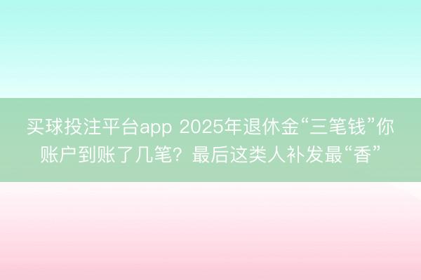 买球投注平台app 2025年退休金“三笔钱”你账户到账了几笔？最后这类人补发最“香”