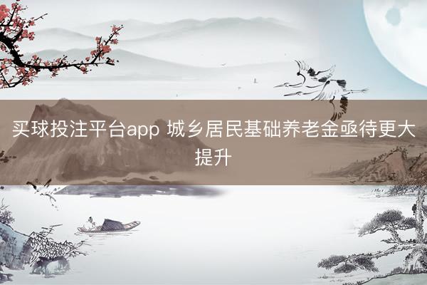 买球投注平台app 城乡居民基础养老金亟待更大提升