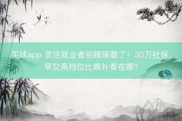 买球app 灵活就业者别瞎琢磨了！30万社保，早交高档位比晚补香在哪？