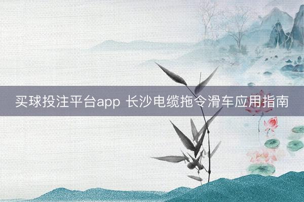 买球投注平台app 长沙电缆拖令滑车应用指南