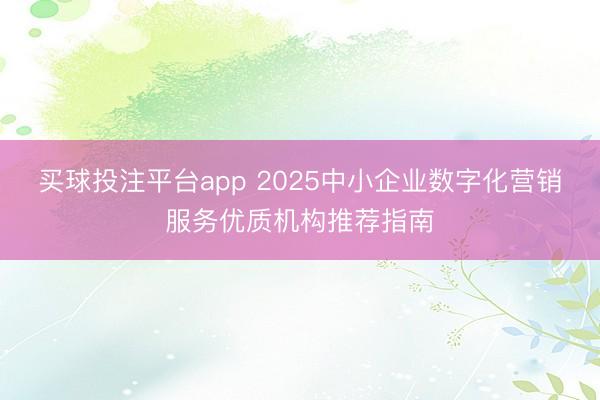 买球投注平台app 2025中小企业数字化营销服务优质机构推荐指南