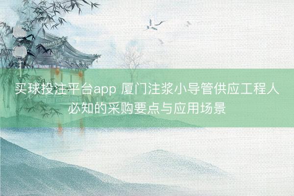 买球投注平台app 厦门注浆小导管供应工程人必知的采购要点与应用场景