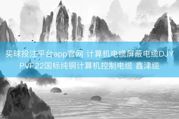 买球投注平台app官网 计算机电缆屏蔽电缆DJYPVP22国标纯铜计算机控制电缆 鑫津缆