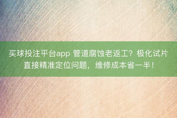 买球投注平台app 管道腐蚀老返工?极化试片直接精准定位问题,维修成本省一半!