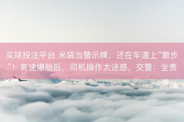 买球投注平台 米袋当警示牌，还在车道上“散步”！高速爆胎后，司机操作太迷惑，交警：全责