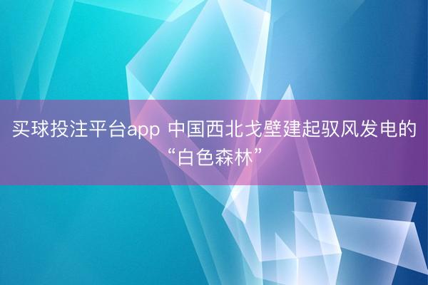 买球投注平台app 中国西北戈壁建起驭风发电的“白色森林”