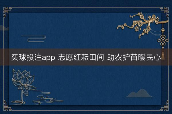 买球投注app 志愿红耘田间 助农护苗暖民心