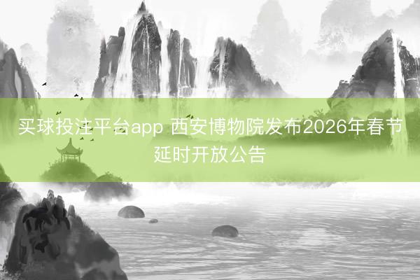 买球投注平台app 西安博物院发布2026年春节延时开放公告