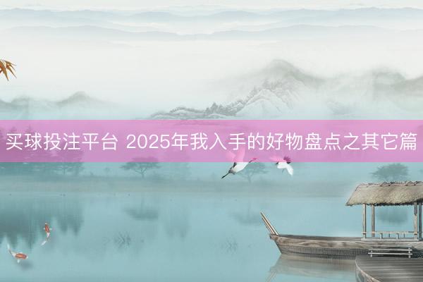 买球投注平台 2025年我入手的好物盘点之其它篇