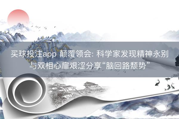 买球投注app 颠覆领会: 科学家发现精神永别与双相心扉艰涩分享“脑回路颓势”