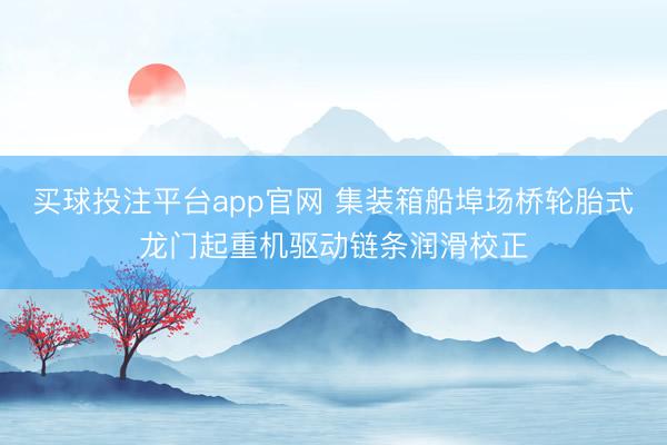买球投注平台app官网 集装箱船埠场桥轮胎式龙门起重机驱动链条润滑校正