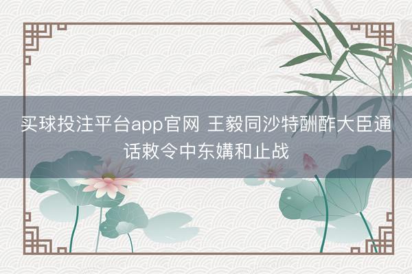 买球投注平台app官网 王毅同沙特酬酢大臣通话敕令中东媾和止战