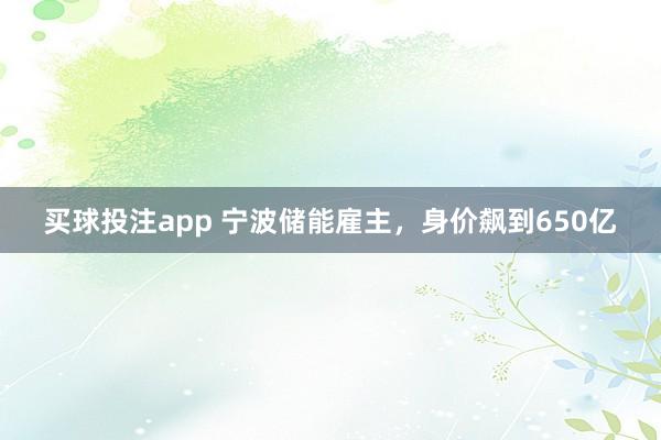 买球投注app 宁波储能雇主，身价飙到650亿