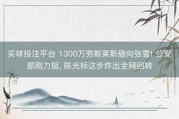 买球投注平台 1300万劳斯莱斯砸向张雪! 公安部刚力挺， 陈光标这步炸出全网回转