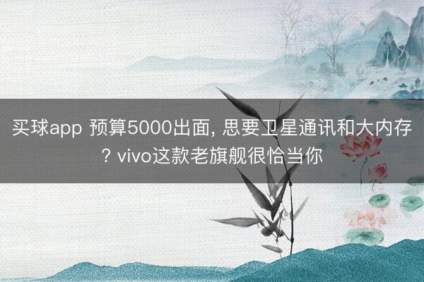 买球app 预算5000出面， 思要卫星通讯和大内存? vivo这款老旗舰很恰当你