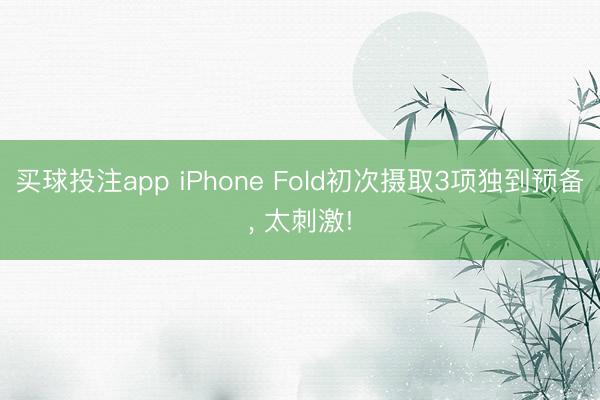 买球投注app iPhone Fold初次摄取3项独到预备， 太刺激!