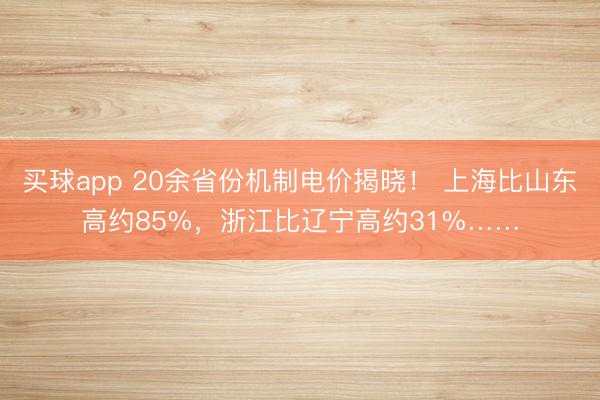 买球app 20余省份机制电价揭晓! 上海比山东高约85%,浙江比辽宁高约31%……