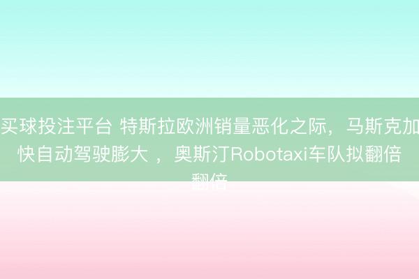 买球投注平台 特斯拉欧洲销量恶化之际,马斯克加快自动驾驶膨大 ,奥斯汀Robotaxi车队拟翻倍