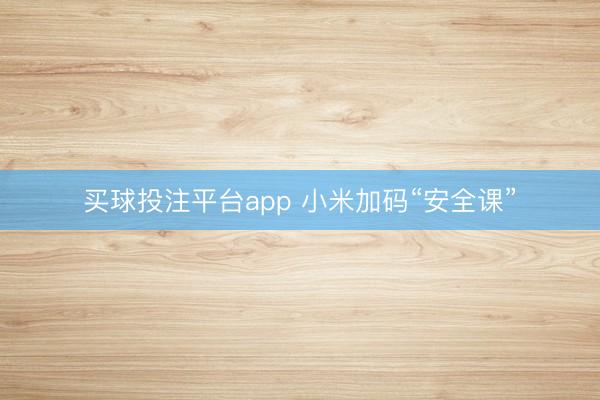 买球投注平台app 小米加码“安全课”