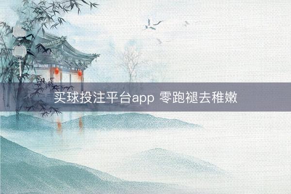买球投注平台app 零跑褪去稚嫩