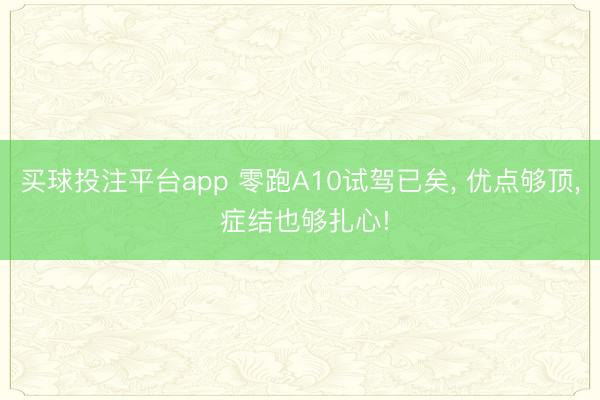 买球投注平台app 零跑A10试驾已矣， 优点够顶， 症结也够扎心!