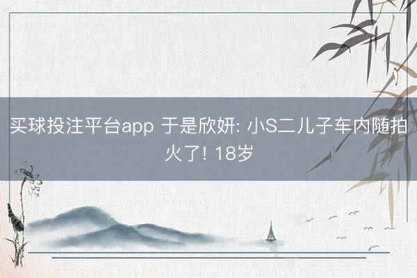 买球投注平台app 于是欣妍: 小S二儿子车内随拍火了! 18岁