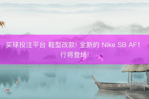 买球投注平台 鞋型改款! 全新的 Nike SB AF1 行将登场!