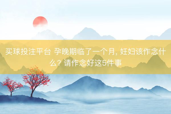 买球投注平台 孕晚期临了一个月， 妊妇该作念什么? 请作念好这5件事