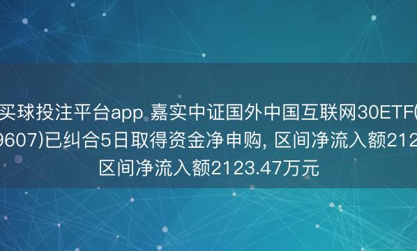 买球投注平台app 嘉实中证国外中国互联网30ETF(QDII)(159607)已纠合5日取得资金净申购， 区间净流入额2123.47万元