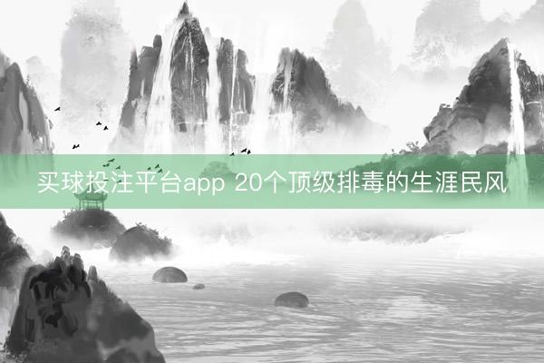 买球投注平台app 20个顶级排毒的生涯民风
