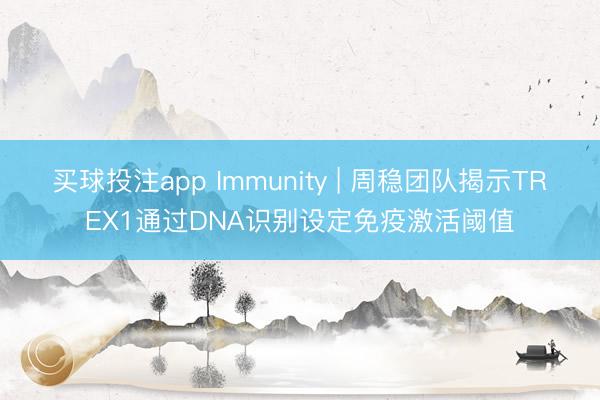买球投注app Immunity | 周稳团队揭示TREX1通过DNA识别设定免疫激活阈值