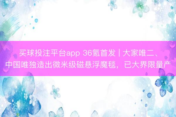 买球投注平台app 36氪首发 | 大家唯二、中国唯独造出微米级磁悬浮魔毯，已大界限量产