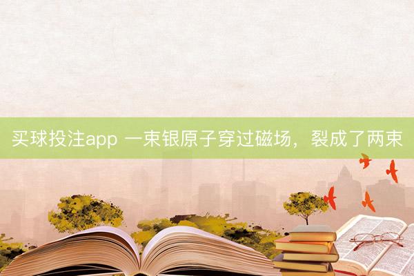 买球投注app 一束银原子穿过磁场，裂成了两束