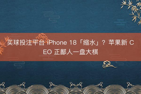 买球投注平台 iPhone 18「缩水」？苹果新 CEO 正鄙人一盘大棋