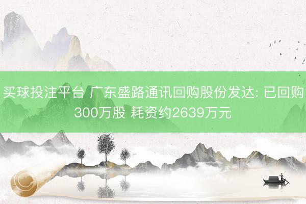 买球投注平台 广东盛路通讯回购股份发达: 已回购300万股 耗资约2639万元