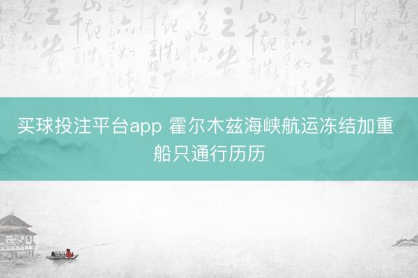 买球投注平台app 霍尔木兹海峡航运冻结加重 船只通行历历