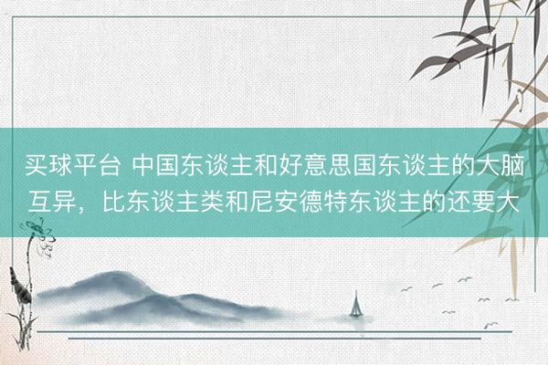买球平台 中国东谈主和好意思国东谈主的大脑互异，比东谈主类和尼安德特东谈主的还要大