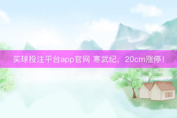 买球投注平台app官网 寒武纪，20cm涨停！