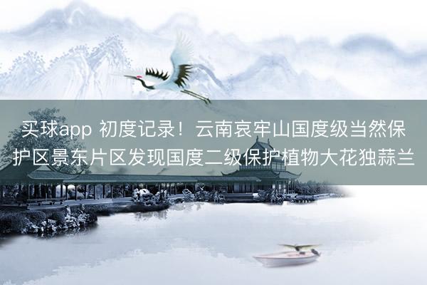 买球app 初度记录！云南哀牢山国度级当然保护区景东片区发现国度二级保护植物大花独蒜兰
