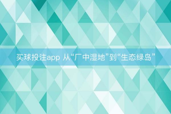 买球投注app 从“厂中湿地”到“生态绿岛”