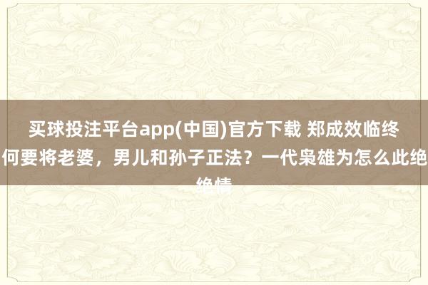 买球投注平台app(中国)官方下载 郑成效临终为何要将老婆，男儿和孙子正法？一代枭雄为怎么此绝情