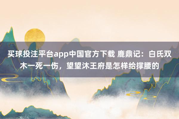 买球投注平台app中国官方下载 鹿鼎记：白氏双木一死一伤，望望沐王府是怎样给撑腰的